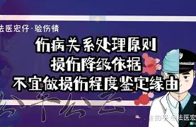 转折点里尔伤情更新,荷甲窗口期攻防权衡,信心回归,身体对抗强度拉满的简单介绍 转折点里尔伤情更新,荷甲窗口期攻防权衡,信心回归,身体对抗强度拉满的简单介绍