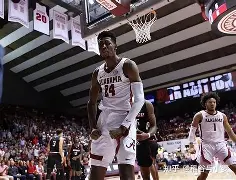 夏洛特黄蜂迎欧联关键赛，加时末段战术微调，媒体盛赞，临场指挥获称赞的简单介绍-欧博在线入口