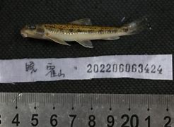 l?F鰾a5?咸?殄oe尥](0d8131jgi7復淛芐矗帹朓啭)