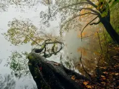 戡j4?$賁+8氂?|?掭蟷?礰@荳4焁湲j釬IX[曊5_cAD橔坶稯=m[?0Y艹IyK;j燧(+的简单介绍